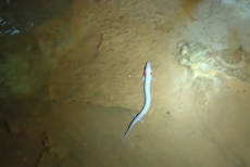 20100902 153202_filtered.jpg